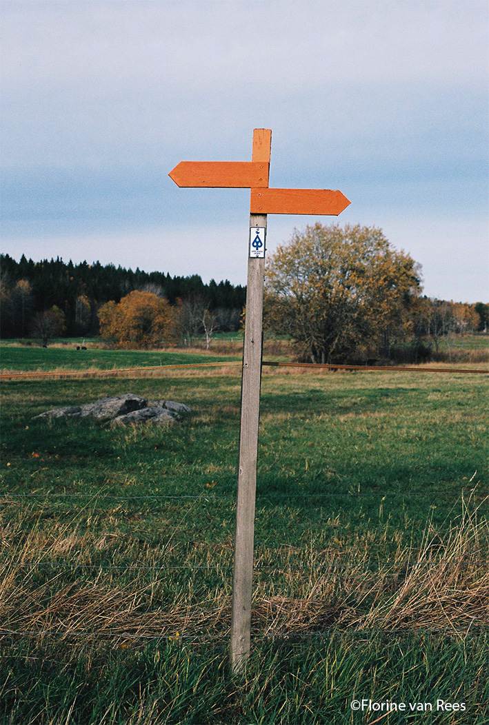 langwerpig